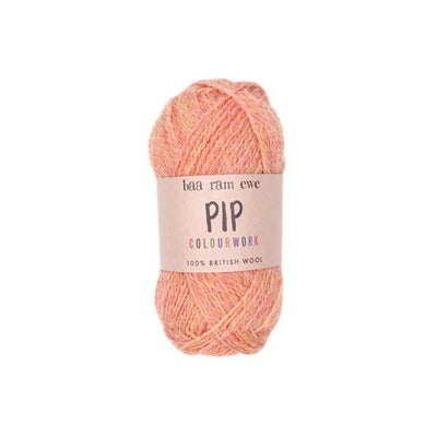 Baa Ram Ewe - Pip Colourwork 4ply Yarn - 25g | Yarn Worx