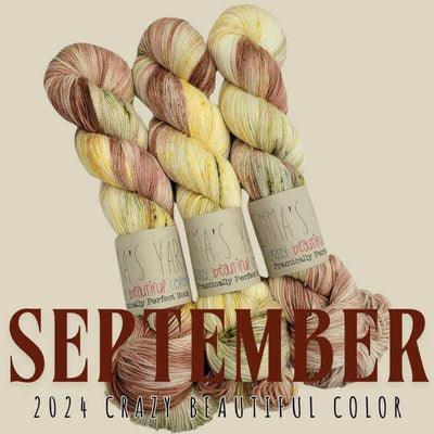 Emma's Yarn - Crazy Beautiful Colour Club - September 2024 | Yarn Worx
