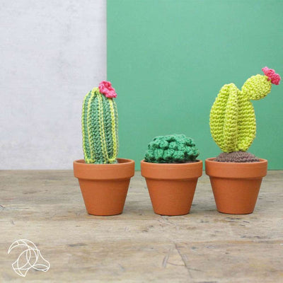 Hardicraft - Cacti (3 x Cactus) - Crochet Kit | Yarn Worx