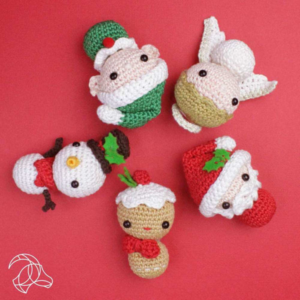 SOTYIOO Crochet Kit for Beginners, Christmas Santa Claus Crochet Set DIY  Gift for Starters Adult Kids Instruction and Video Tutorials (40%+ Yarn)