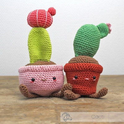 Hardicraft - Moon Cactus - Crochet Kit | Yarn Worx