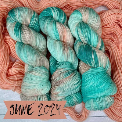 Market Town Yarns Monthly Subscription Box - June 2024 | Yarn Worx