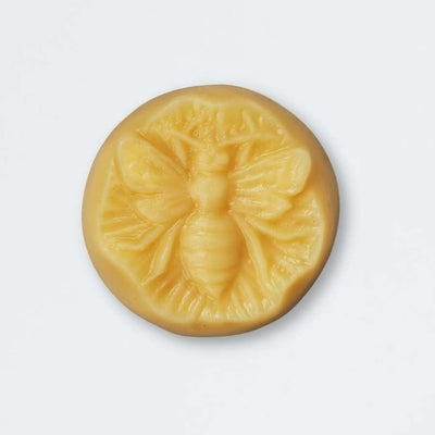 Love + Leche Little Bee Lotion Bar - Cozy Clove | Yarn Worx