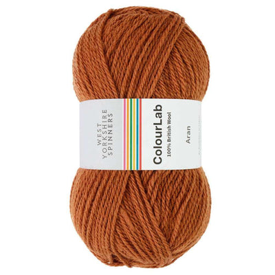 West Yorkshire Spinners - ColourLab Aran Yarn - 100g shown in colourway Rust Orange 1214 | Yarn Worx