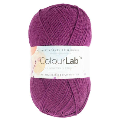 West Yorkshire Spinners - ColourLab DK Yarn - 100g shown in colourway Perfectly Plum 362 | Yarn Worx