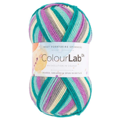 West Yorkshire Spinners - ColourLab DK Yarn - 100g shown in colourway Purple Rain 915 | Yarn Worx