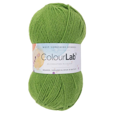 West Yorkshire Spinners - ColourLab DK Yarn - 100g shown in colourway Shamrock Green 1134 | Yarn Worx