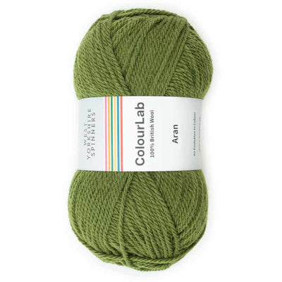 West Yorkshire Spinners - ColourLab Aran Yarn - 100g shown in colourway Moss Green 1177 | Yarn Worx