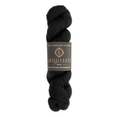 West Yorkshire Spinners - Exquisite 4ply Yarn - 100g shown in colourway Noir 099 | Yarn Worx